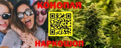 крисы Краснодар