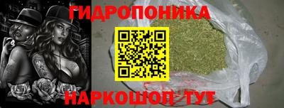 крисы Краснодар